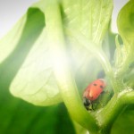 RECORDATORIO DEROGACIÓN MODULOS IRPF