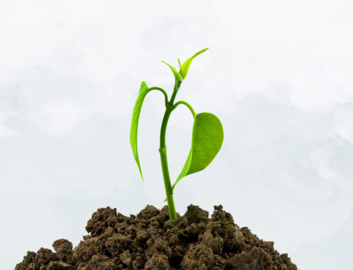 Circular sobre los próximos cursillos